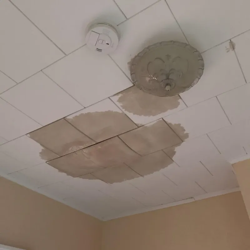 Ceiling Water Damage Repair in McLennan County, TX