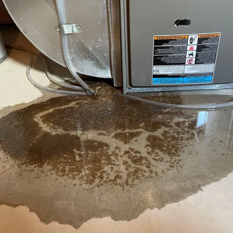 Pipe Burst and Leak Restoration in McLennan County, TX
