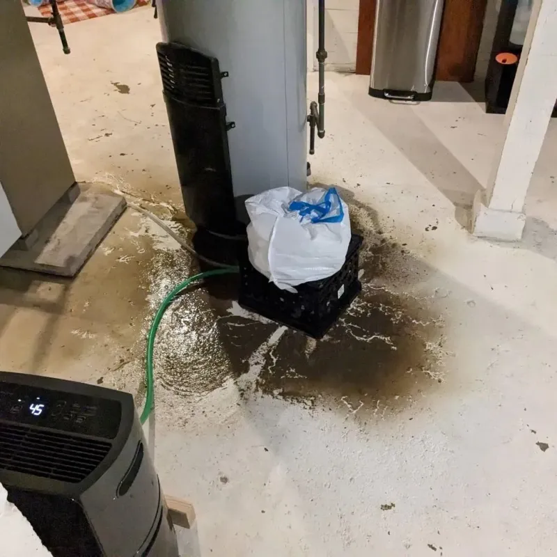 Sewage Backup Cleanup Service in McLennan County, TX